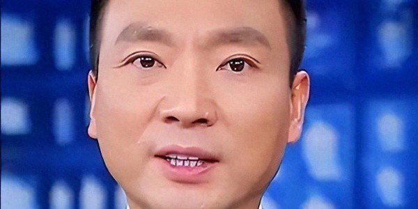 半岛体育在线-“央视一哥”康辉：丁克一辈子，却在四十六岁的一通电话让他后悔