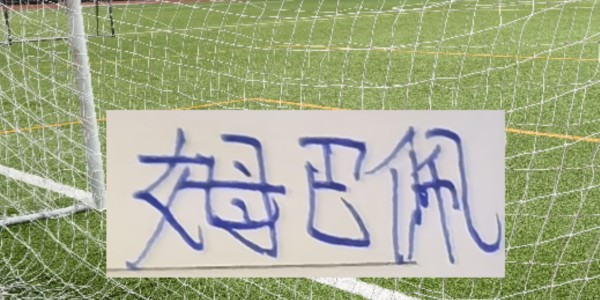 半岛体育官网-前申花名将德罗巴入选TOP10中锋！皇马官宣：罗德里戈重伤